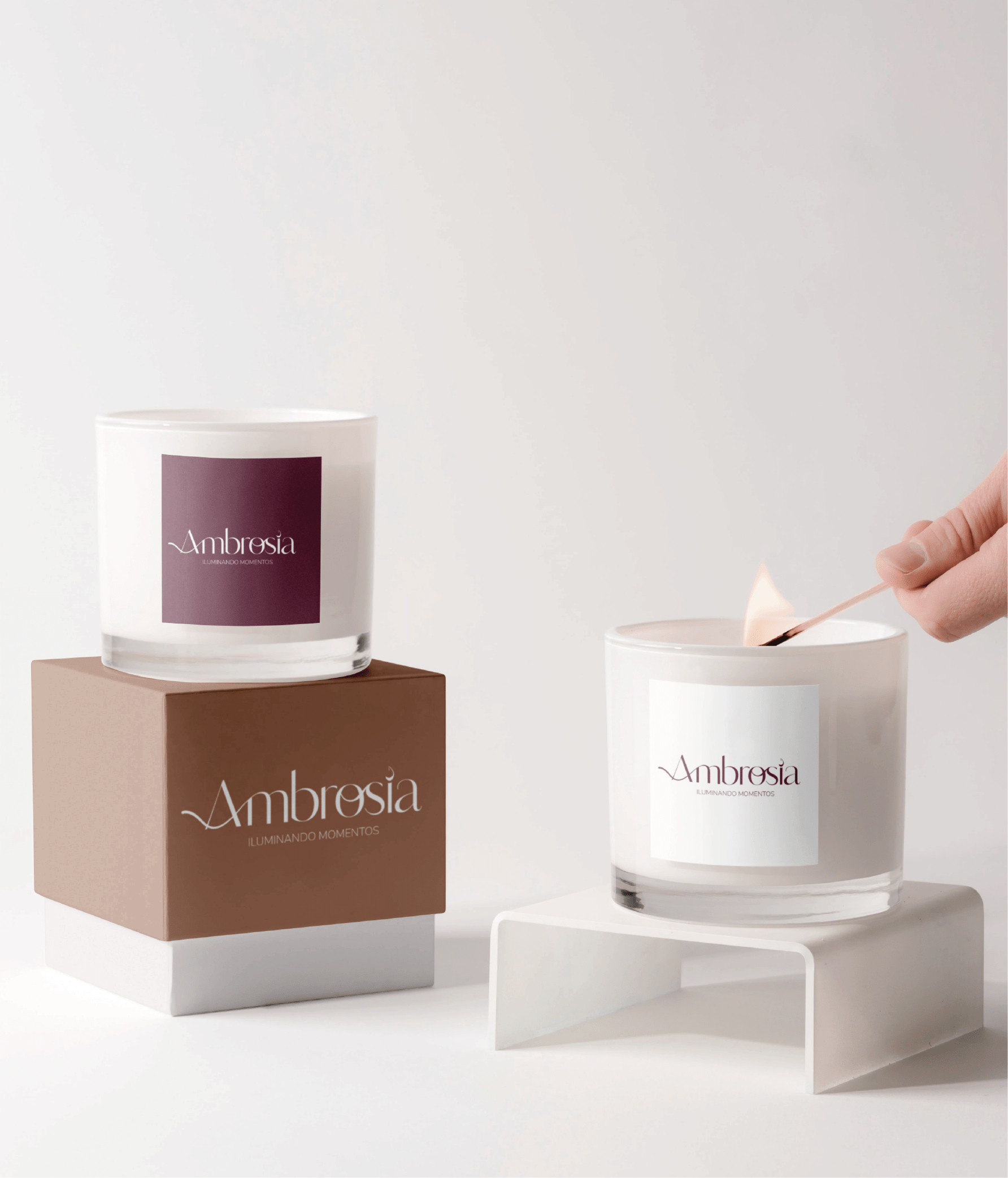 proyecto-ambrosia